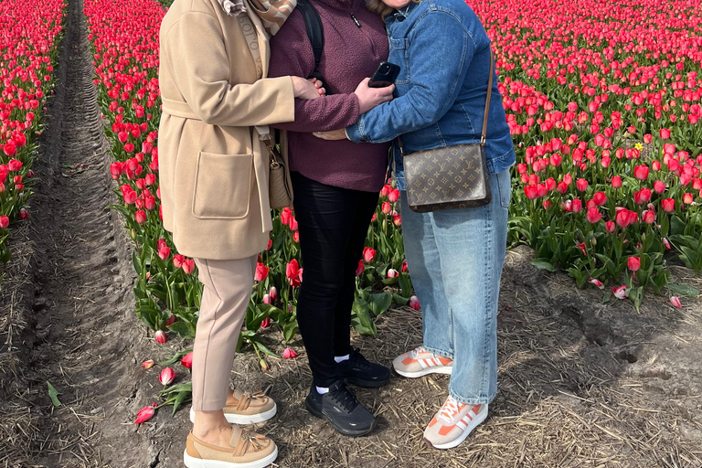 Lisse: Private Tulip Fields Tour with a Local Guide 1h Tour