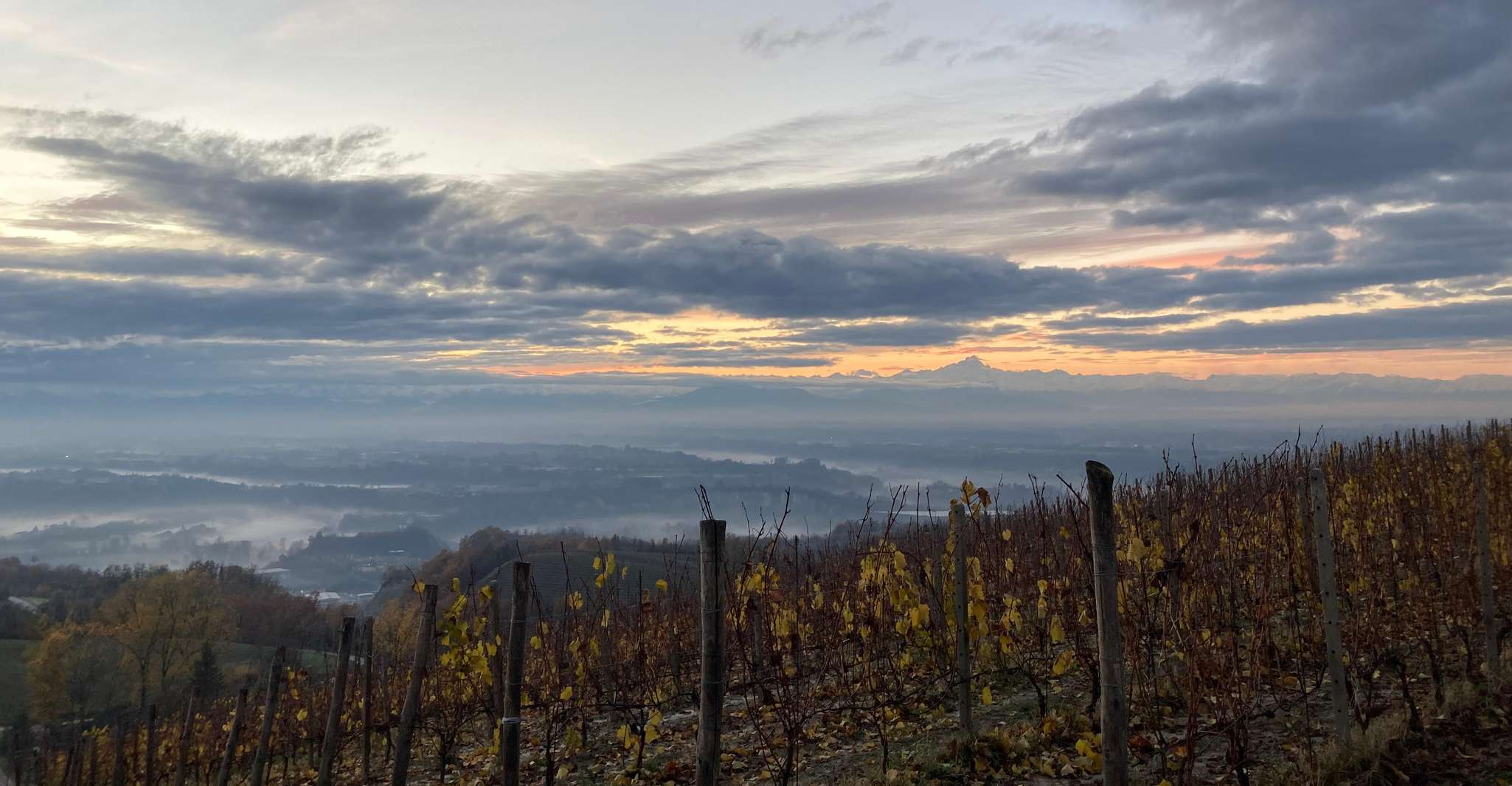 Alba: Visita Guidata Delle Langhe Con Cantina E Degustazione