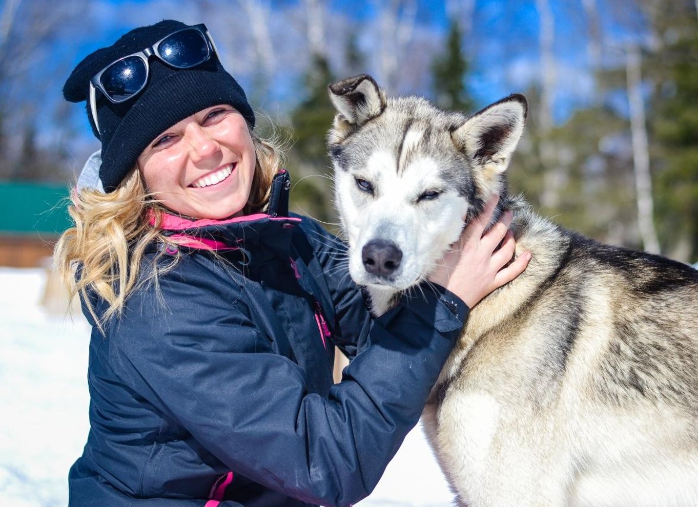 15 min. Tadoussac: Rundvisning bag kulisserne i kennelen for slædehunde