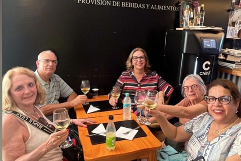 Colonia del Sacramento: Sightseeing Walking Tour & Traditional Tannat Wine Tasting
