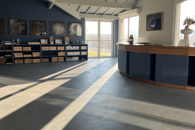 Z Bordeaux: Wycieczka po winnicach Saint-Emilion i Pomerol