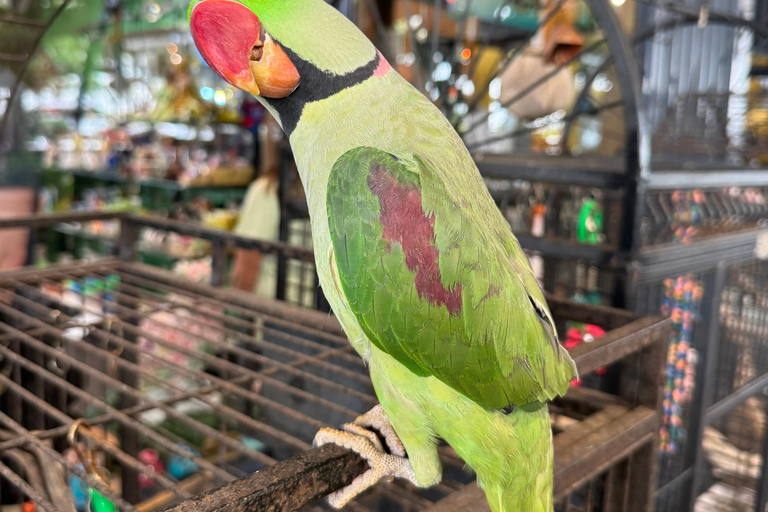 Airlie Beach: Family Coffee Plantation Tour