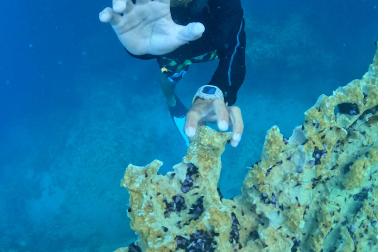 Coron: Island Highlights Tour with Buffet Lunch and Pick-up