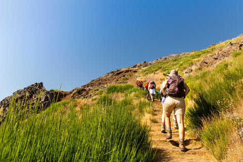 Pico Areeiro to Pico Ruivo: guided hiking tour