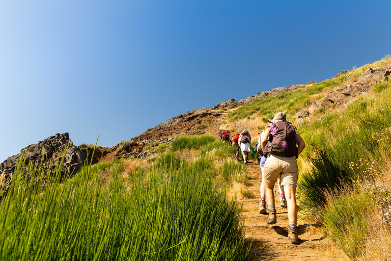 Pico Areeiro to Pico Ruivo: guided hiking tour