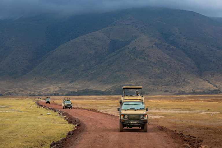 Safaris en Tanzanie et plage à Zanzibar