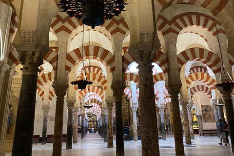 Cordoba: Mosque-Cathedral Entry Ticket with Audio Guide