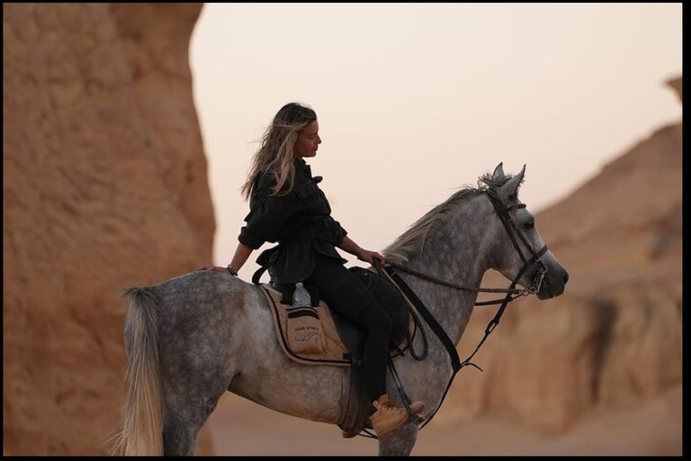 From Cairo: 4x4 Desert Safari, Waterfalls & Magic Lake Shared Tour: Wadi El Rayan, Magic Lake & Lake Qarun, Jeep