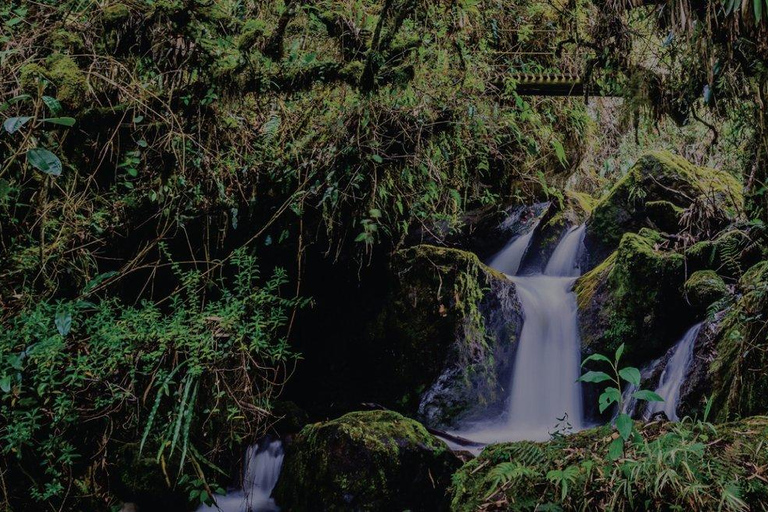 Quito : Excursion d&#039;une journée aux sources thermales de Papallacta et ses environs