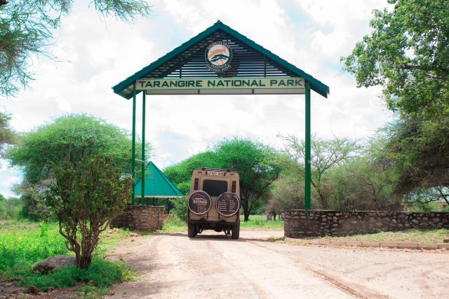 Visit 3 Days Tanzania safari Last Minute Serengeti in Serengeti