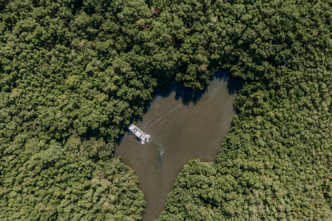 Guadeloupe: Magical half-day boat trip: mangrove, islet, snorkeling. Guadeloupe: Magical 1/2-day boat trip: mangrove, islet, snorkeling.
