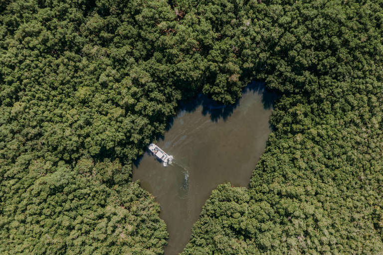 Guadeloupe: Magical half-day boat trip: mangrove, islet, snorkeling. Guadeloupe: Magical 1/2-day boat trip: mangrove, islet, snorkeling.