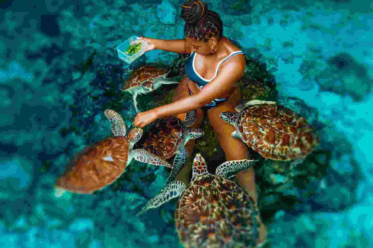 Jozani Forest & salaam cave sea turtles sanctuary