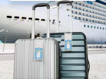 Consegna bagagli Civitavecchia -> Roma e Fiumicino