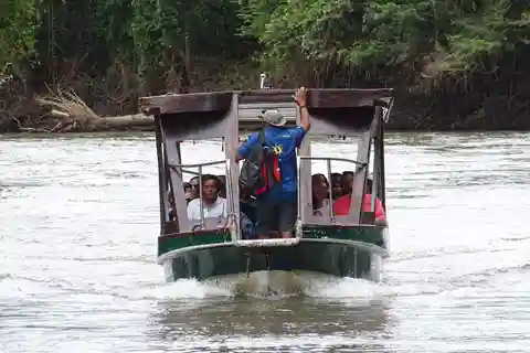 Palo Verde: Tempisque River Wildlife Safari with Lunch