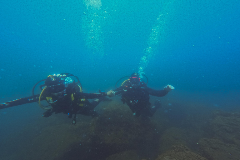 Napoli: Discover Scuba Diving in the Park of Baia Napoli: Double Discover Scuba Diving in the Park of Baia