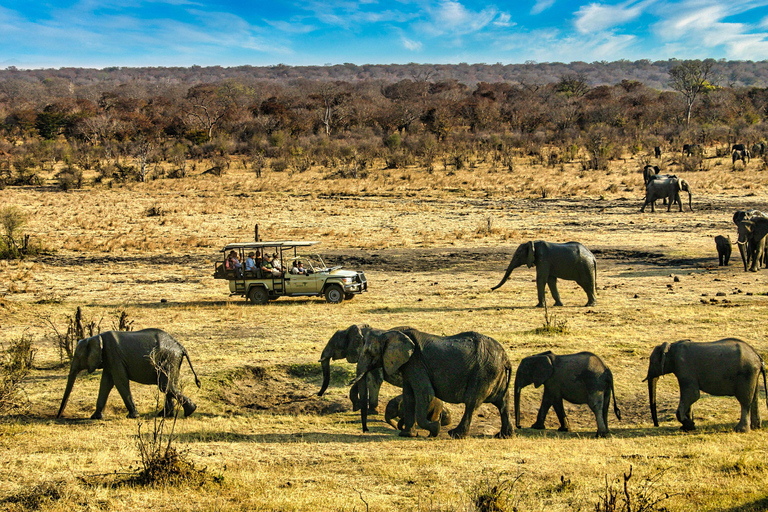 Victoria Watervallen: Droge Safari Game drive in Nationaal Park