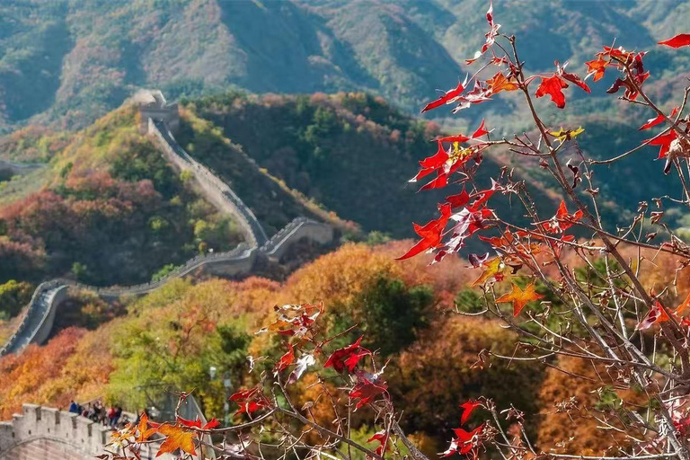 Mutianyu Great Wall Bus Tour with Ticket & Toboggan Options Round-trip Shuttle Transfer (Ticket Not Included)