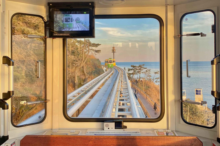 Pusan: prywatna wycieczka dostosowana do Twoich potrzeb – półdniowa/całodniowaCałodniowa prywatna wycieczka po Busan z odbiorem i transportem powrotnym