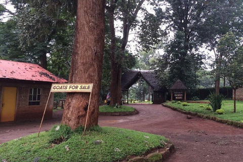 Nairobi: Paradise Lost Waterfall and Caves Guided Tour