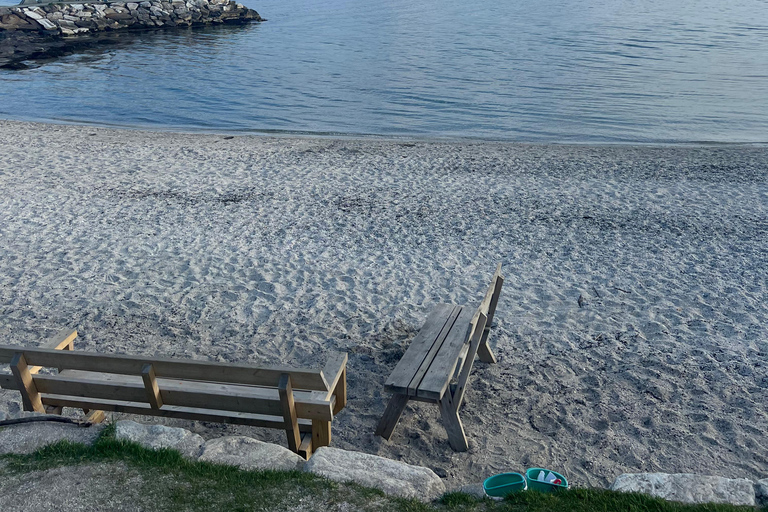 Tromsø: Private Car City Tour with a Local (Exclusive) Tromsø: Private Car City Tour with a Local (Exclusive)