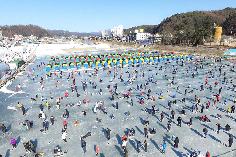 From Seoul: Pyeongchang Trout Festival & Ice Fishing A. Round-Trip Shuttle Bus Only