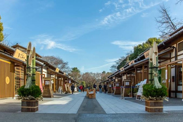 Discover the Heart of Japan in Nagoya with Private Van Tour