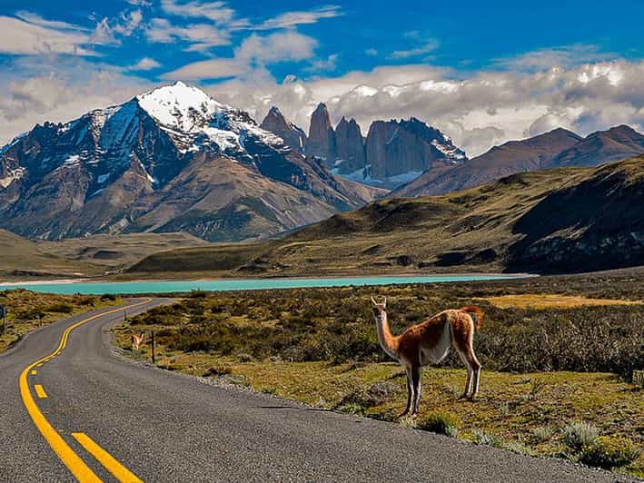 Galería de fotos para redes