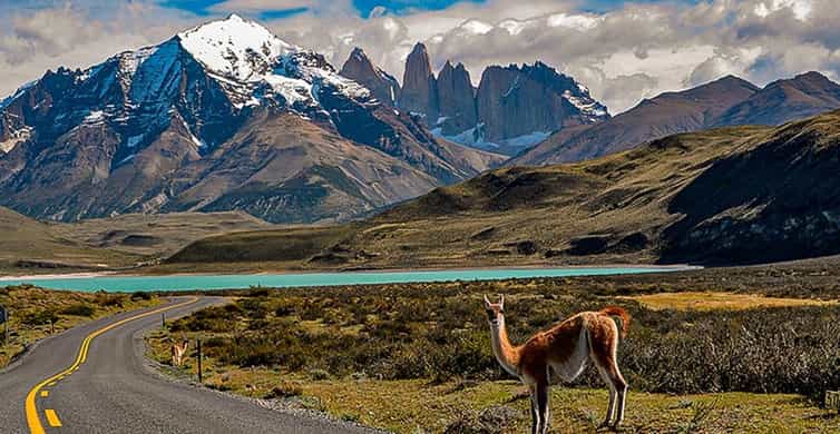 Galería de fotos para redes