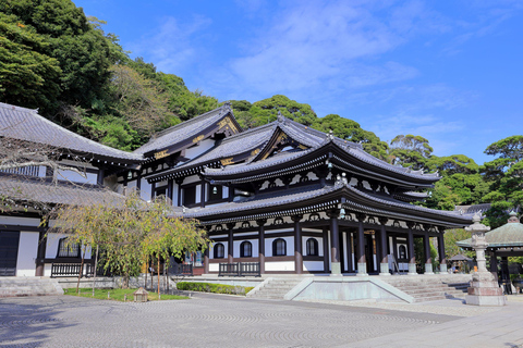 Tokyo: Enoshima, Kamakura, & Yokohama Tour (Enoden Included) Kamakura Y, from Shinjuku