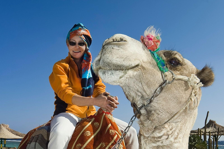 Hurghada: Desert Quad Bike, ATV with BBQ and TransferSunset BBQ: Desert Quad Bike, ATV with BBQ &amp; Transfer