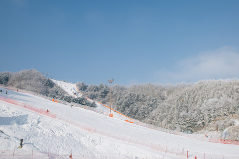 Från Seoul: Elysian Gangchon Ski Tour med Nami IslandSkidpaket - Möte vid Hongik Univ. Station