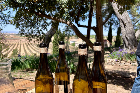 From Valencia: Private Buñol Hiking Trip with Wine Tasting