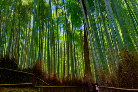 Tour a pie por la mañana temprano en Kioto: Naturaleza e HistoriaExcursión matinal