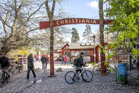 Copenaghen: Maxitour in inglese