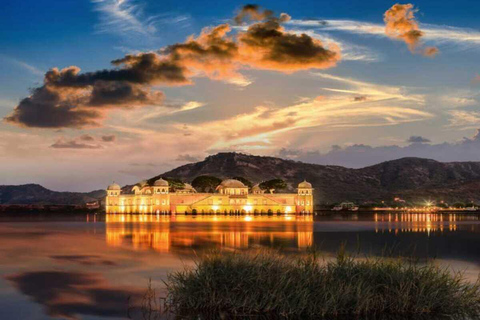 Jaipur: Świątynia Małp, Bursztynowy Fort, Jal Mahal itp. Wycieczka samochodem