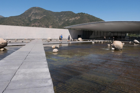 Colchagua : expérience de luxe aux caves VIK et MontesColchagua : expérience de luxe avec VIK et la cave Montes
