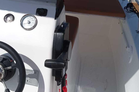 ماربيا: تأجير قوارب بدون ترخيص لمشاهدة الدلافينإيجار لمدة 30 دقيقة