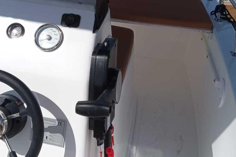 ماربيا: تأجير قوارب بدون ترخيص لمشاهدة الدلافينإيجار لمدة 30 دقيقة