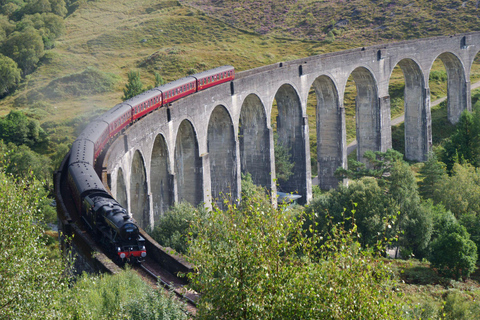 From Edinburgh: Glenfinnan, Fort William and Highland Cows