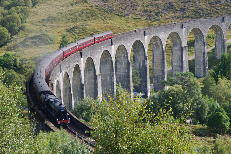 From Edinburgh: Glenfinnan, Fort William and Highland Cows