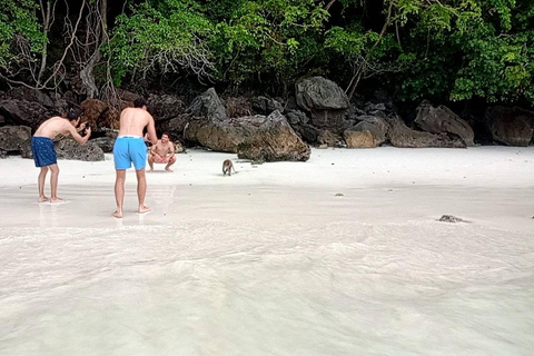 Depuis l&#039;île de Phi Phi : Excursion d&#039;une demi-journée en bateau rapide