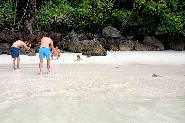 Depuis l&#039;île de Phi Phi : Excursion d&#039;une demi-journée en bateau rapide