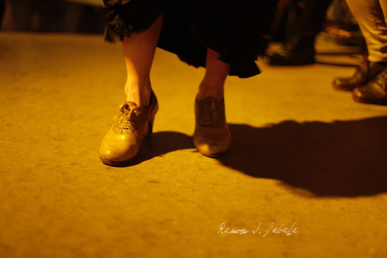 Cordova: spettacolo di flamenco e cena gourmet in un patioCordoba: spettacolo di flamenco e cena gourmet in un patio