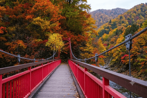 Sapporo: Hoheikyo Dam (丰平峡大坝), Jozankei & Outlet Tour