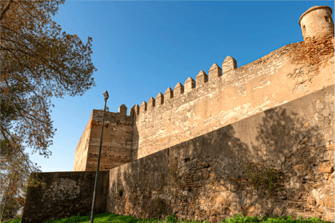 Castillo de Gibralfaro Málaga: Skip-the-Line and Group-Free Ticket + Audio Guide