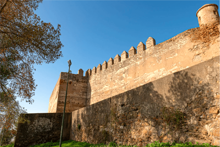 Castillo de Gibralfaro Málaga: Skip-the-Line and Group-Free Ticket + Audio Guide