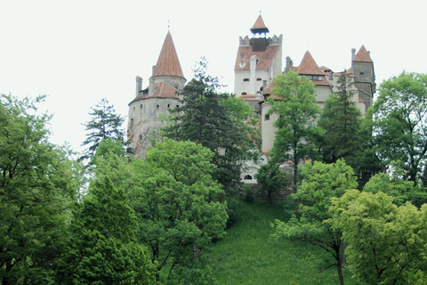 Brașov: Visit a Transylvanian Village Home near Bran Castle From Brașov to a Traditional Village Home in the Bran Area