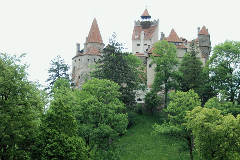 Brașov: Visit a Transylvanian Village Home near Bran Castle From Brașov to a Traditional Village Home in the Bran Area