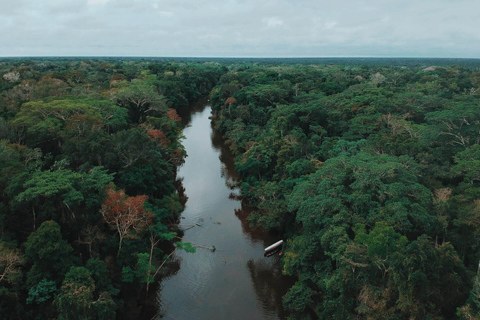 Excursie naar de jungle van het Pacaya Samiria National Reserve.